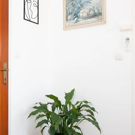 Big And Comfortable Rosmarino * Brodarica (Sibenik-Knin)