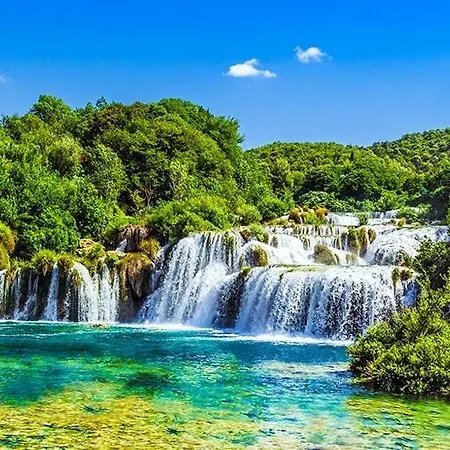 Big And Comfortable Rosmarino *