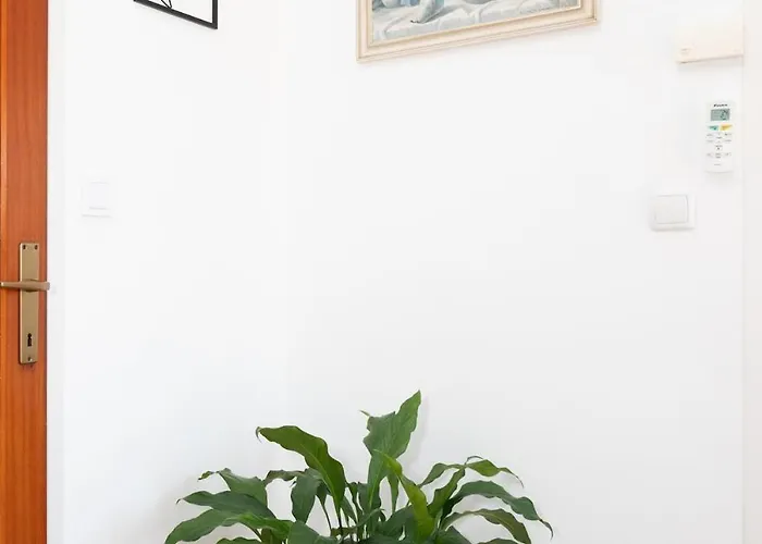 Big And Comfortable Rosmarino * ברודאריצה